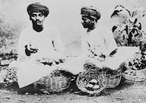 Vendeurs de fruits hindous, Inde, 20ème siècle