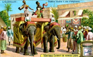 Théâtre hindou sur le dos des éléphants, c1900 - Unbekannt