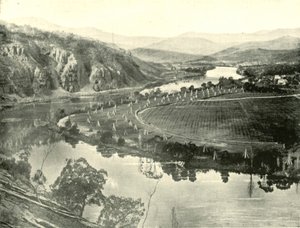 Jardins de houblon en Tasmanie, 1901
