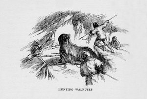Chasse aux morses, vers 1927-1928 - Unbekannt