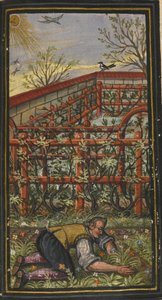 Illustration pour Le merveilleux été de la vie éternelle de Jacob Zader, 1603