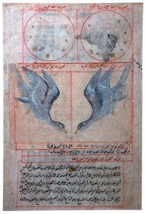 Illustration des constellations de l