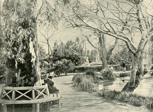 Dans les jardins botaniques, Adélaïde, 1901 - Unbekannt
