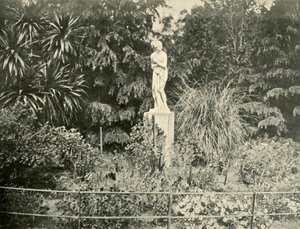 Dans les jardins de Fitzroy, Melbourne, 1901