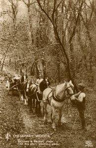 Dans les bois ombragés, fin 19e ou début 20e siècle - Unbekannt