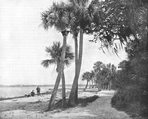 Indian River, Floride, USA, vers 1900 - Unbekannt