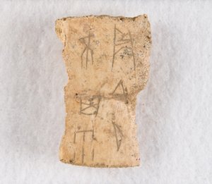 Fragment d