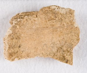 Fragment d