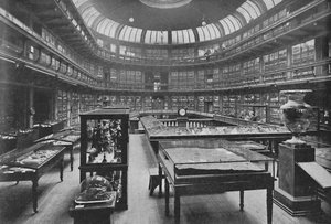 Intérieur du Musée géologique, rue Jermyn, 1904 - Unbekannt