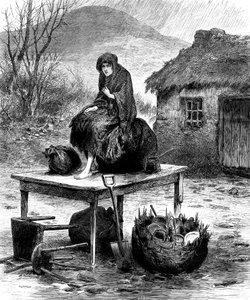 Jeune paysanne irlandaise gardant les dernières possessions de la famille, 1886 - Unbekannt