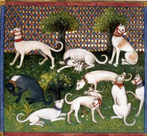 Chiens de chasse / Livre de la Chasse - Unbekannt