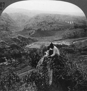 Java, Indonésie, c1900s