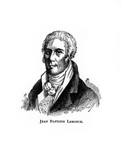 Jean-Baptiste Lamarck, naturaliste français - Unbekannt