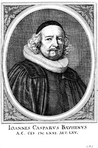 Jean Caspar Bauhin 1606-1659, médecin et botaniste suisse - Unbekannt