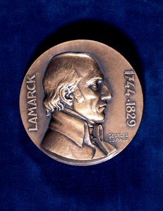 Jean Lamarck, naturaliste français - Unbekannt