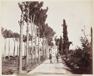 Jellallabad Le trottoir du jardin de l