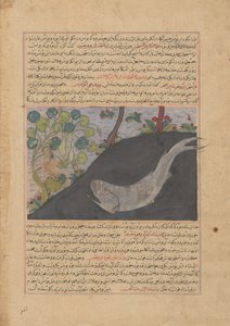Jonas et la baleine, folio d