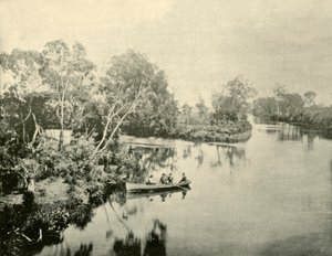 Jonction des rivières Glengarry et Thompson, Victoria, 1901