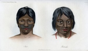 Juri et Botocudos, de la nation Brasilio-Guarani, 1848 - Unbekannt