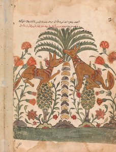 Kalila réprimandant Dimna, Folio d