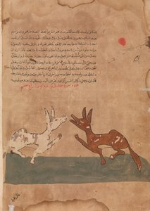 Kalila et Dimna discutant des plans de Dimna pour devenir un confident du Lion..., 18ème siècle
