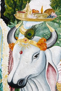 Vache sacrée Kamdhenu, Katmandou, Népal