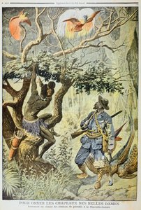 Chasse aux oiseaux de paradis, Nouvelle-Guinée, 1908