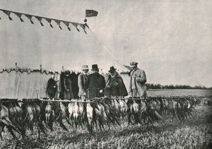 Le roi Édouard VII inspectant le gibier à Sherborne Estate, 1902, 1910 - Unbekannt