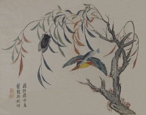 Martin-pêcheur, cigale et saule, 19ème siècle - Unbekannt