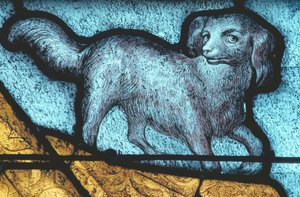La Ferté-Bernard, chien - Unbekannt