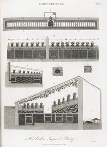 La serre de culture des ananas, élévation et coupe du bâtiment - Unbekannt