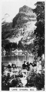 Lac O