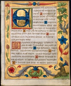 Feuille d