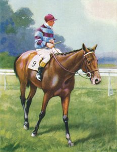 Légende de France, Jockey : A. Richardson, 1939 - Unbekannt