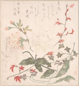 Lys, violettes, fleurs de cerisier, forsythia et une branche d