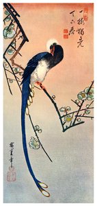 Oiseau bleu à longue queue sur une branche de prunier en fleur, 19ème siècle