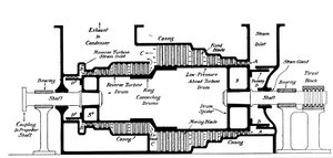 Section longitudinale d