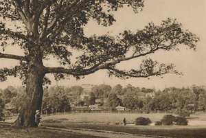 Vue des pentes vertes de Caen Wood vers le clocher de l