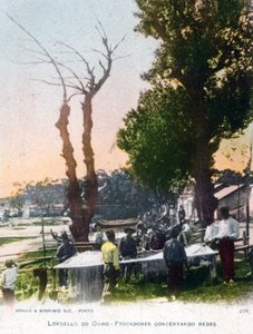 Lordelo do Ouro, près de Porto, Portugal, 1903 - Unbekannt