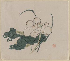 Fleur de lotus, 1368-1644