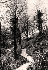 Lovers Lane, Fairlight, Hastings, Sussex - Unbekannt