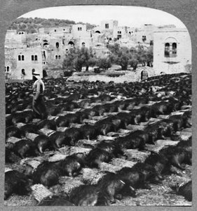 Fabrication de bouteilles de vin, Hébron, vers 1900 - Unbekannt