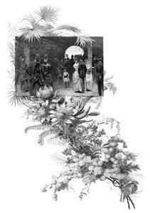 Exposition de fleurs sauvages de Manly, Sydney, Nouvelle-Galles du Sud, Australie - Unbekannt