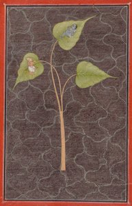 Markandeya voyant Krishna dans l