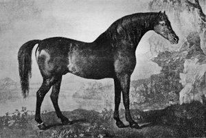 Marske, 1750-1779, 1911 - Unbekannt