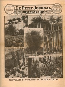 Merveilles et curiosités du monde végétal, 1931 - Unbekannt