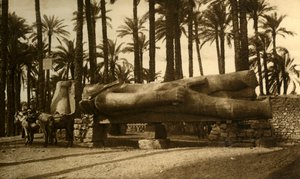 Memphis - La statue colossale de Ramsès II