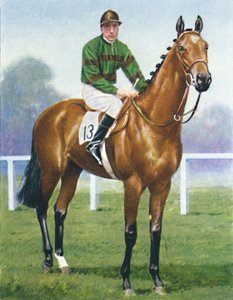 Mirza II, jockey : H. Wragg, 1939 - Unbekannt