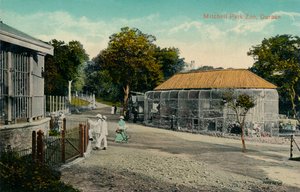 Zoo de Mitchell Park, Durban, vers 1915 - Unbekannt
