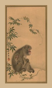 Singe, XIXe siècle, 1886 - Unbekannt